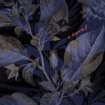 Cover of Nighberries by Elina Penner